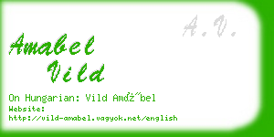 amabel vild business card